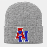 Gray beanie with red and blue logo on a light gray background