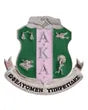 Pink and Green with our AKA Sorority Shield Brooch!