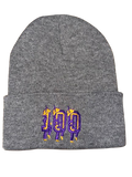 St. Augustine Marching 100 Beanie (3 Colors)