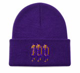 St. Augustine Marching 100 Beanie | Purple & Gold | 4 Colors| Poree’s Embroidery